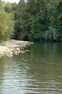 Bagno nel fiume Calore a Controne e Kiena a Campagna (SA) - foto 78