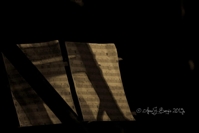 CONCERTO Atom at Night   Scafati (SA) - foto 5