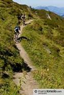 Alpbachtal - foto 31