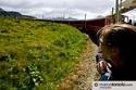 Bernina (Italy-Switzerland) - foto 31