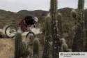 Bolivia - foto 27