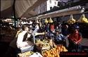 Bozen (Italy) - foto 4