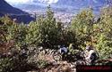 Bozen (Italy) - foto 10