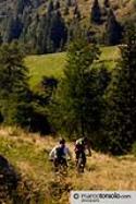 Croce Domini - foto 4