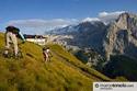 Dolomiti - foto 21