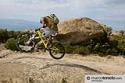 Elba - foto 11