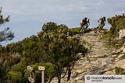 Elba - foto 19