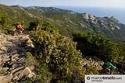 Elba - foto 23