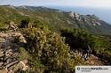 Elba - foto 24
