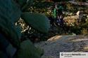 Elba - foto 28