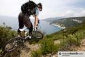 Elba - foto 31