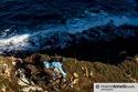 Elba - foto 63