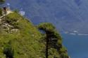 Lago di Garda - foto 101