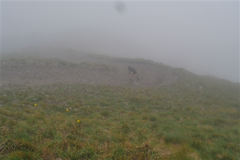 TRAIL di PIZZO San Michele N°3157 FOTO scattate a raffica in VETTA da Peppe Dalessio con nebbia e gran freddo - foto 376