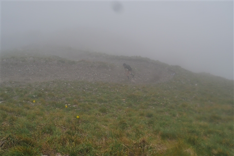 TRAIL di PIZZO San Michele N°3157 FOTO scattate a raffica in VETTA da Peppe Dalessio con nebbia e gran freddo - foto 377