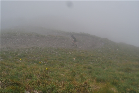 TRAIL di PIZZO San Michele N°3157 FOTO scattate a raffica in VETTA da Peppe Dalessio con nebbia e gran freddo - foto 379