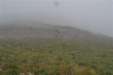 TRAIL di PIZZO San Michele N°3157 FOTO scattate a raffica in VETTA da Peppe Dalessio con nebbia e gran freddo - foto 381