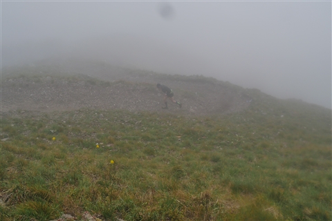 TRAIL di PIZZO San Michele N°3157 FOTO scattate a raffica in VETTA da Peppe Dalessio con nebbia e gran freddo - foto 382