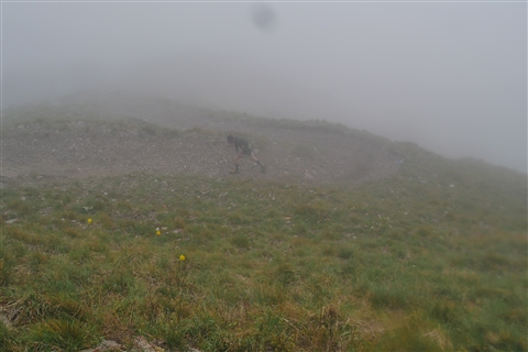 TRAIL di PIZZO San Michele N°3157 FOTO scattate a raffica in VETTA da Peppe Dalessio con nebbia e gran freddo - foto 386