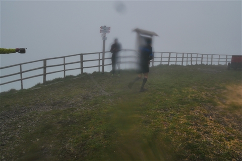 TRAIL di PIZZO San Michele N°3157 FOTO scattate a raffica in VETTA da Peppe Dalessio con nebbia e gran freddo - foto 1584