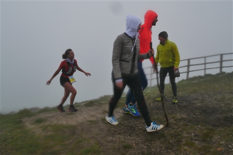 TRAIL di PIZZO San Michele N°3157 FOTO scattate a raffica in VETTA da Peppe Dalessio con nebbia e gran freddo - foto 2182