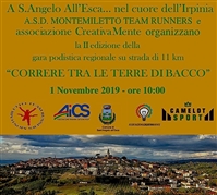 Correre-tra-le-Terre-di-Bacco-2019--SantAngelo-allEsca (AV) - foto 1