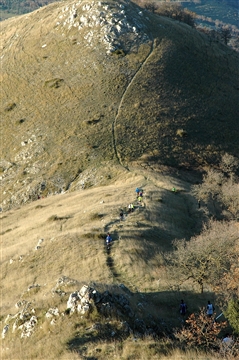 Tifata Vertikal Race 12 Gennaio 2019 - foto 208