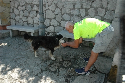 Trail di Sant'Angelo a Sacala (Av) --PREMIAZIONI e Pasta Party -- - foto 74