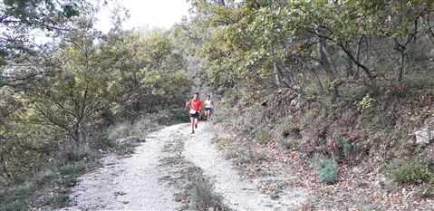Trail del GRIFONE ....Borgo medievale di Terravecchia -Giffoni 18 novembre 2018- - foto 3