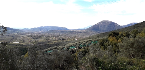 Trail del GRIFONE ....Borgo medievale di Terravecchia -Giffoni 18 novembre 2018- - foto 33