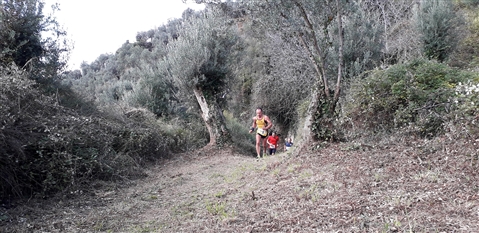 Trail del GRIFONE ....Borgo medievale di Terravecchia -Giffoni 18 novembre 2018- - foto 51