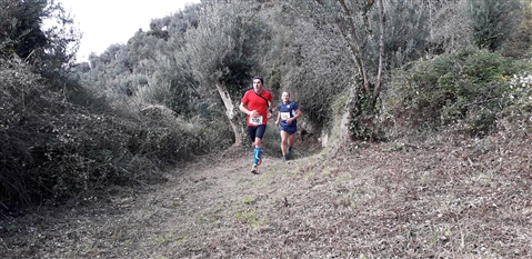 Trail del GRIFONE ....Borgo medievale di Terravecchia -Giffoni 18 novembre 2018- - foto 54