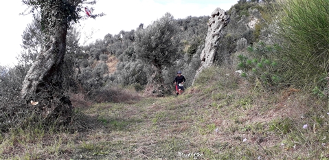 Trail del GRIFONE ....Borgo medievale di Terravecchia -Giffoni 18 novembre 2018- - foto 57