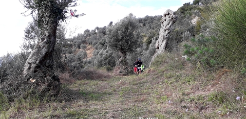 Trail del GRIFONE ....Borgo medievale di Terravecchia -Giffoni 18 novembre 2018- - foto 58