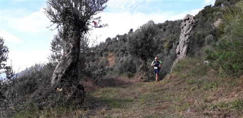 Trail del GRIFONE ....Borgo medievale di Terravecchia -Giffoni 18 novembre 2018- - foto 64