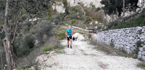 Trail del GRIFONE ....Borgo medievale di Terravecchia -Giffoni 18 novembre 2018- - foto 68