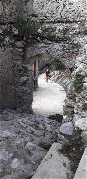 Trail del GRIFONE ....Borgo medievale di Terravecchia -Giffoni 18 novembre 2018- - foto 113