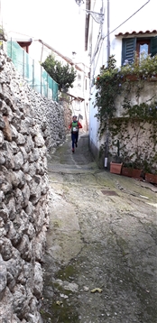 Trail del GRIFONE ....Borgo medievale di Terravecchia -Giffoni 18 novembre 2018- - foto 141