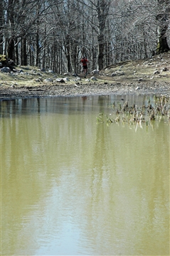 I° Trail "La Dama del Lago" 24 marzo 2019 Sanpotito Sannitico - foto 24