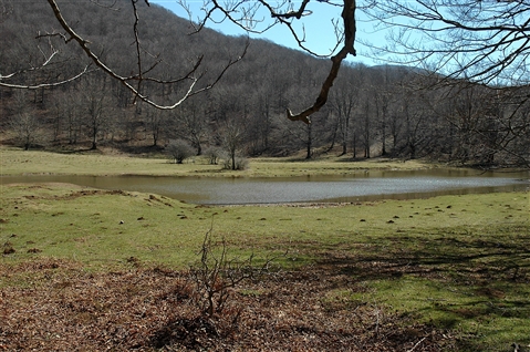 I° Trail "La Dama del Lago" 24 marzo 2019 Sanpotito Sannitico - foto 35