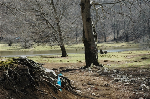 I° Trail "La Dama del Lago" 24 marzo 2019 Sanpotito Sannitico - foto 36