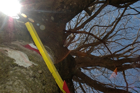 I° Trail "La Dama del Lago" 24 marzo 2019 Sanpotito Sannitico - foto 38