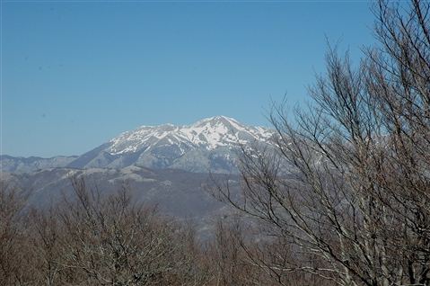 I° Trail "La Dama del Lago" 24 marzo 2019 Sanpotito Sannitico - foto 65