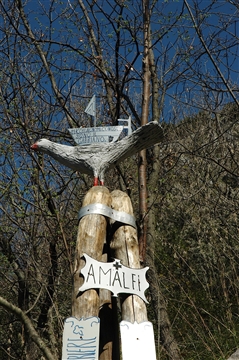 Trail delle Ferriere 31 marzo 2019 Amalfi Coast - foto 168