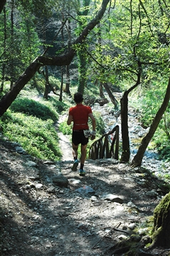 Trail delle Ferriere 31 marzo 2019 Amalfi Coast - foto 178