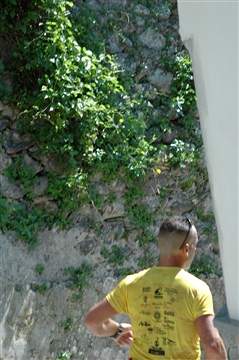 Trail delle Ferriere 31 marzo 2019 Amalfi Coast - foto 275