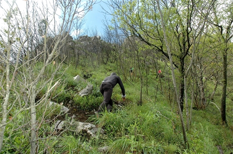 -VERTIKAL di monte FINESTRA- 5 Maggio 2019 (II° Partenza e premiazioni) - foto 207