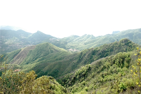 -VERTIKAL di monte FINESTRA- 5 Maggio 2019 (II° Partenza e premiazioni) - foto 242