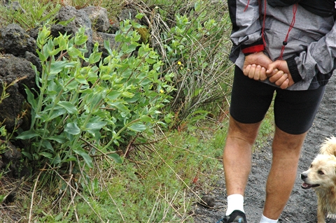 VESUVIO ULTRA MARATHON 12 Maggio 2019  49&23 Km - foto 113