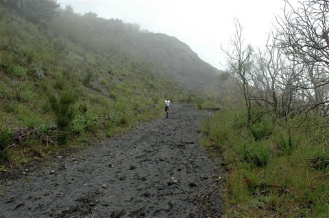 VESUVIO ULTRA MARATHON 12 Maggio 2019  49&23 Km - foto 337